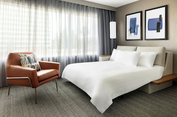 Room, 1 King Bed with Sofa bed