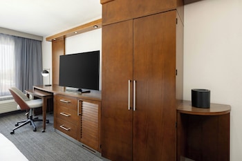 Room, 1 King Bed with Sofa bed, Hearing Accessible