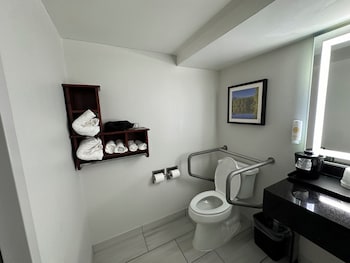 Room, 1 King Bed, Accessible, Non Smoking
