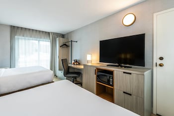 Deluxe 2 Queen beds, Ground floor, Pet Friendly