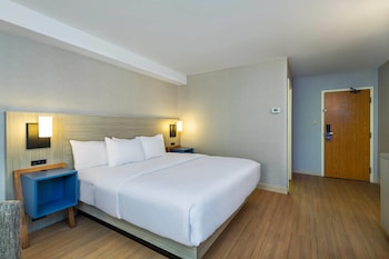Room, 1 King Bed, Non Smoking (Upgrade)