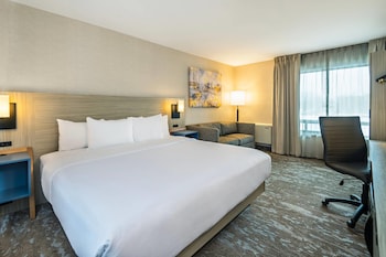 Room, 1 King Bed, Non Smoking