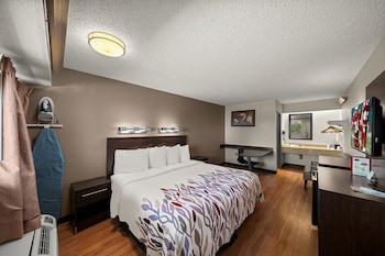 Superior Room, 1 King Bed, Smoking