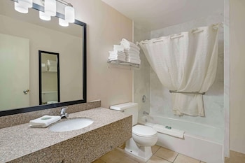 Standard Room, Multiple Beds, Non Smoking, Refrigerator & Microwave (Larger Room;with Sofabed)