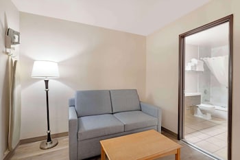 Standard Room, Multiple Beds, Non Smoking, Refrigerator & Microwave (Larger Room;with Sofabed)