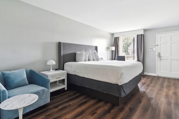 Room, 1 King Bed, Accessible