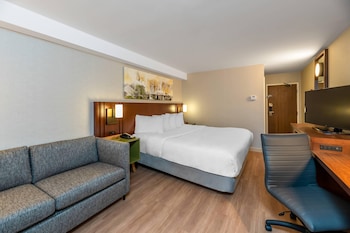 Room, 1 King Bed with Sofa bed, Accessible, Non Smoking