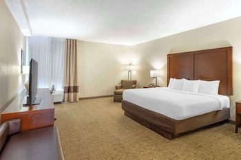 Standard Room, 1 King Bed, Non Smoking