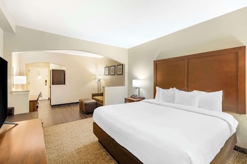 Suite, 1 King Bed with Sofa bed, Non Smoking