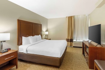 Suite, 1 King Bed with Sofa bed, Non Smoking
