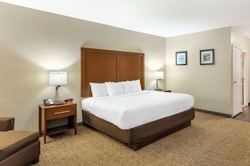 Standard Room, 1 King Bed, Non Smoking