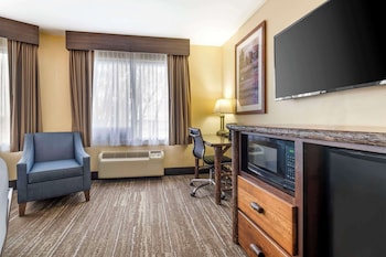Standard Room, 1 King Bed, Non Smoking