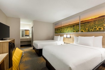 Double room, multiple beds