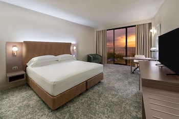 Deluxe Room, 1 King Bed
