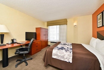 Standard Room, 1 Queen Bed, Non Smoking