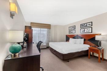 Room, 1 King Bed, Non Smoking