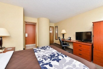 Standard Room, 1 Queen Bed, Non Smoking