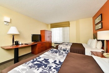 Standard Room, 2 Double Beds, Non Smoking