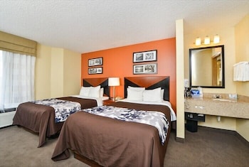 Standard Room, 2 Double Beds, Non Smoking