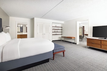Suite, 1 King Bed with Sofa bed