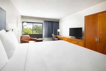 Room, 1 King Bed
