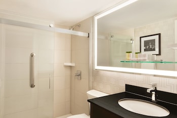 Suite, 1 King Bed with Sofa bed