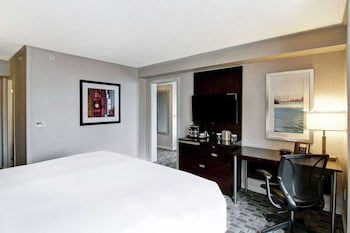 Suite, 1 King Bed with Sofa bed