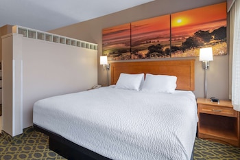 Deluxe Suite, 1 King Bed, Non Smoking