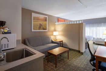 Suite, 1 King Bed, Non Smoking