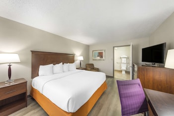Standard Room, 1 King Bed, Accessible, Bathtub