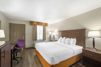 Standard Room, 1 King Bed, Accessible, Bathtub