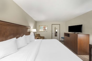 Standard Room, 1 King Bed, Accessible, Bathtub