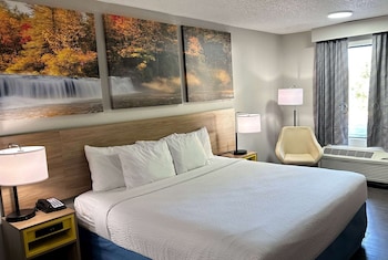Room, 1 King Bed, Accessible