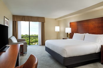 Standard Room, 1 King Bed with Sofa bed
