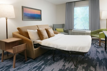 Studio Suite, 1 King Bed with Sofa bed