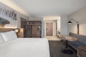 Room, 1 King Bed, Accessible (Mobility, Roll-In Shower)