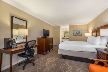 Standard Room, 1 King Bed, Smoking, Refrigerator & Microwave