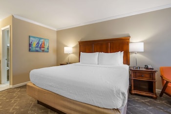 Standard Room, 1 King Bed, Smoking, Refrigerator & Microwave