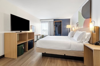Room, 1 King Bed