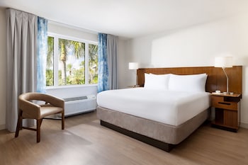 Room, 1 King Bed