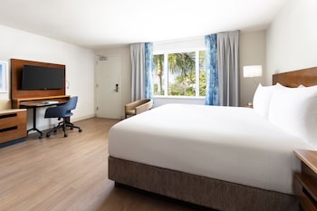 Studio, 1 King Bed with Sofa bed