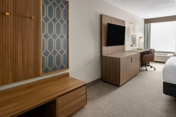 Suite, 1 King Bed