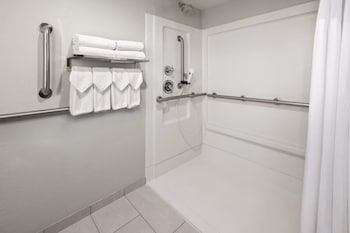 Premium Room, 1 King Bed, Roll-in Shower (Mobility Accessible)