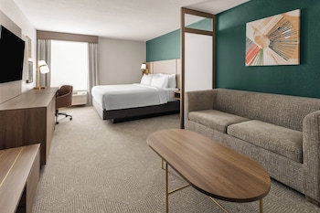 Suite, 1 King Bed