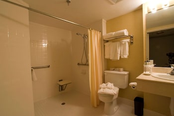Suite, 1 King Bed, Accessible (Roll-in Shower)