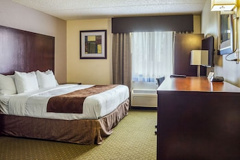Room, 1 King Bed, Accessible, Non Smoking (Roll-In Shower)