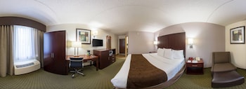 Room, 1 King Bed, Accessible, Non Smoking (Roll-In Shower)