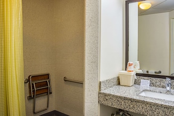 Room, 1 King Bed, Accessible, Non Smoking (Roll-In Shower)