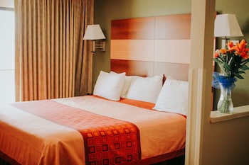 Suite, 1 King Bed, Non Smoking, City View (No Pets)