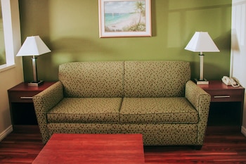 Suite, 1 King Bed, Non Smoking, City View (No Pets)